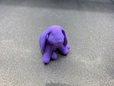 Floppy the Magic Bluey Bunny 