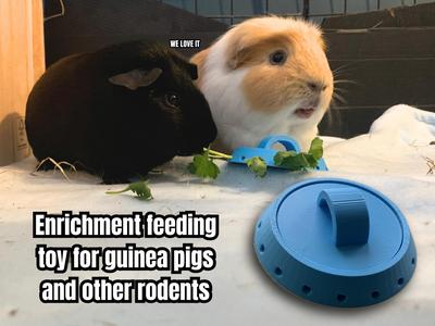 Enrichment feeding toy for guinea pigs + rodents