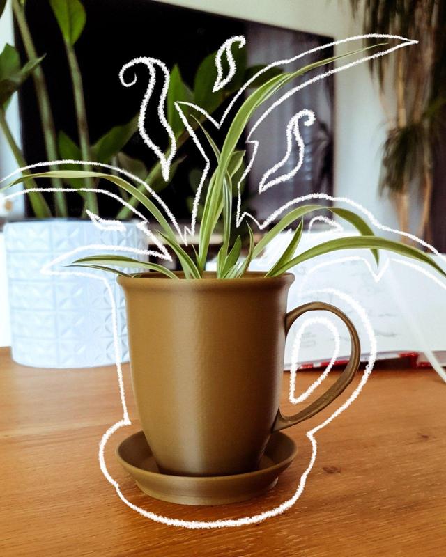 Coffee Mug Planter