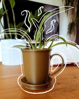 Coffee Mug Planter