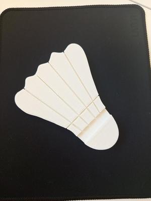 shuttlecock badminton