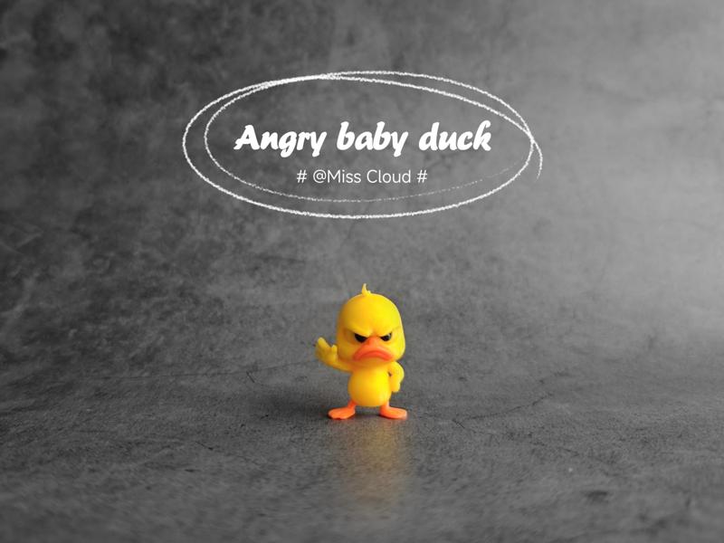 Grumpy Duckling 6 Office Decor Figurine