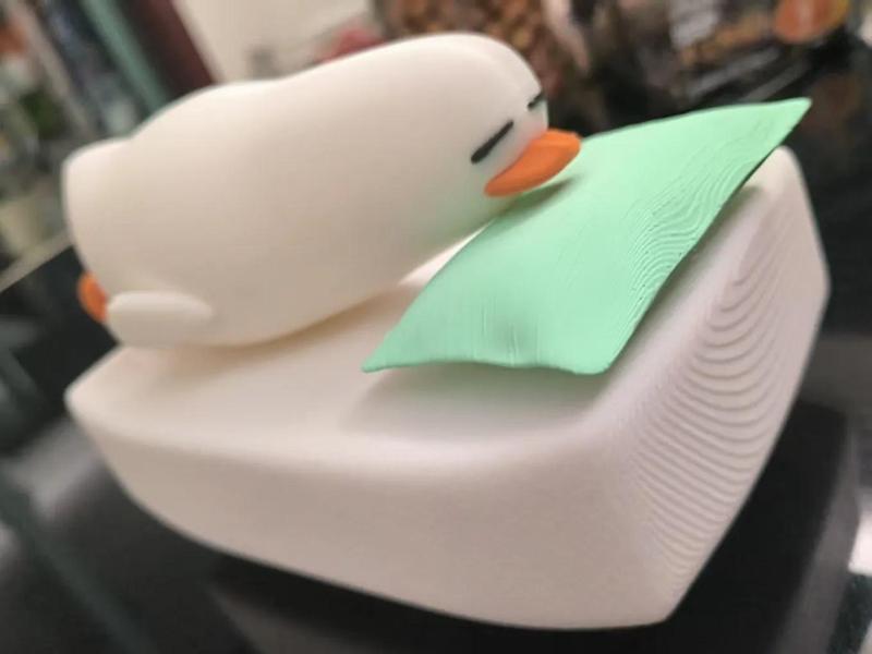 Sleeping Duck