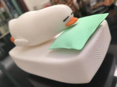 Sleeping Duck