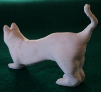 House Cat