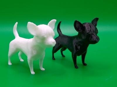 Chihuahua