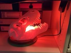 T-REX LAMP