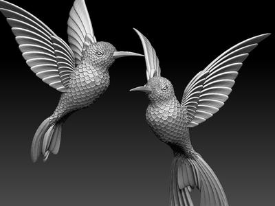 colibri humming bird