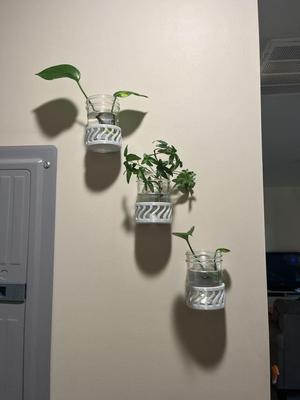 Mason Jar Wall Mount