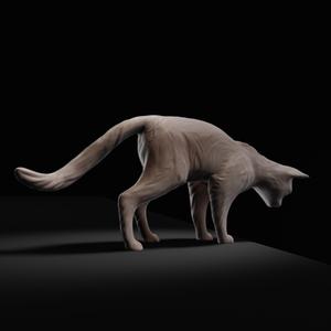 Cat looking down