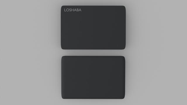 Portable Storage