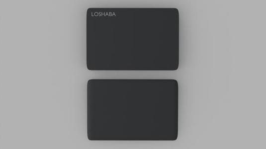 Portable Storage