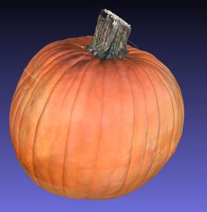 Medium Pumpkin 3d scan