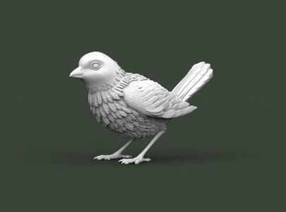 bird