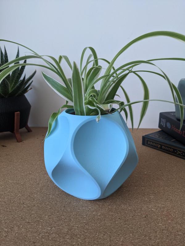 Dodecahedron Geometric Planter