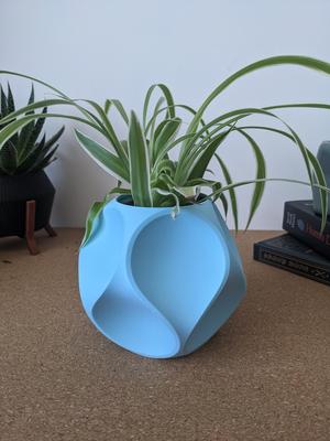 Dodecahedron Geometric Planter