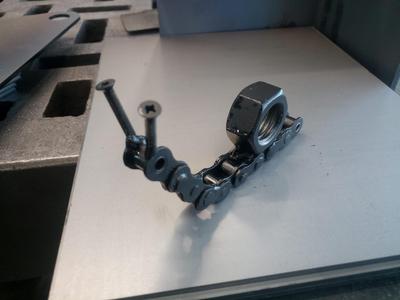 Chain snail Chainsnail