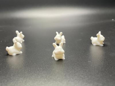 Tiny Bunny