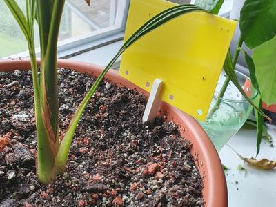 Yellow sticky card / trap stand