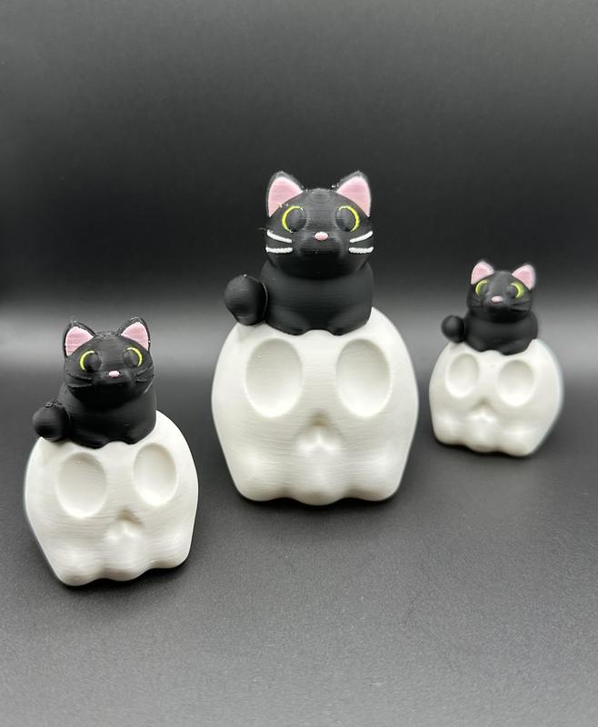 Black Cat on Skull