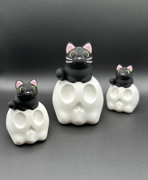 Black Cat on Skull