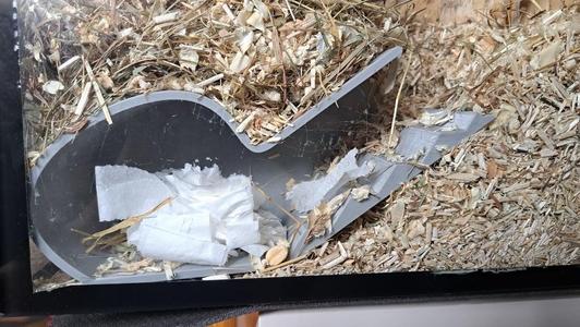 Hamster watchbox (designe for 225x225 printer)