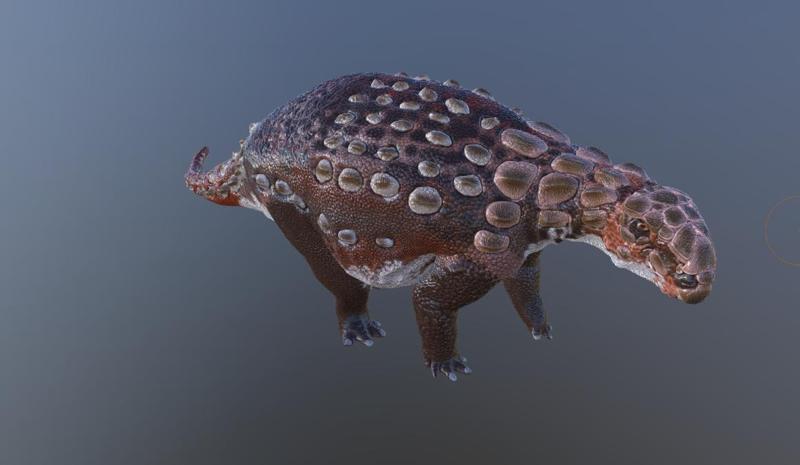 Revised Panoplosaurus Mirus