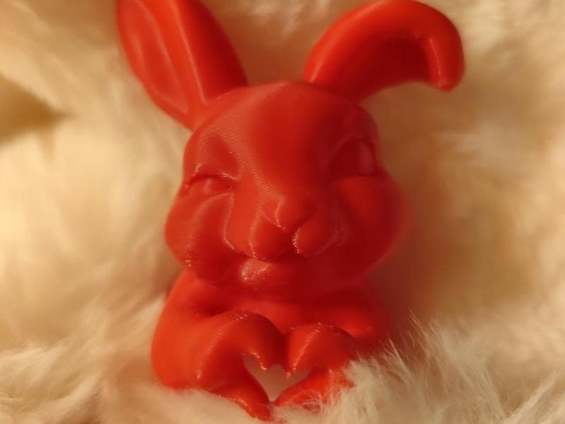 Heart-shaped bunny