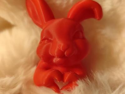 Heart-shaped bunny