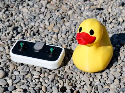 René the Rubber Duck Boat