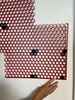 Honeycomb storage wall 224 by 190 with borders.