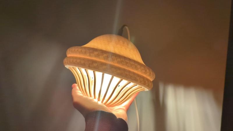 Acorn Space Lamp