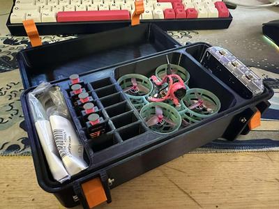 65mm Tinywhoop Case
