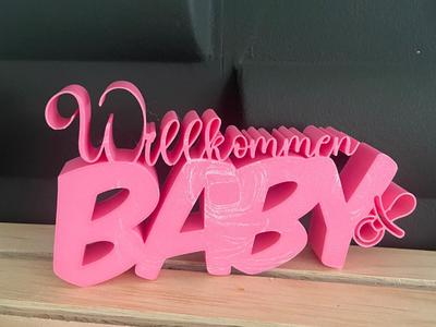 Welcome Baby - Birth Sign Display
