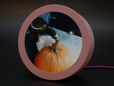 Qualia S3 iOS Photo Display with itsaSNAP Case