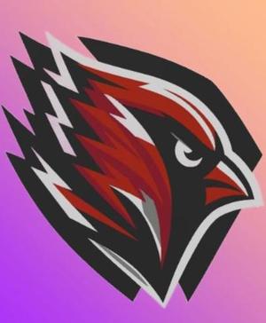 Arizona Cardinals Custom FanArt 1