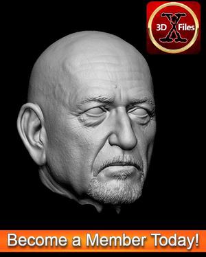 Sir Ben Kingsley Head Sculpt - Hottoys - 1:12 and 1:6 Scale- Action Figure 