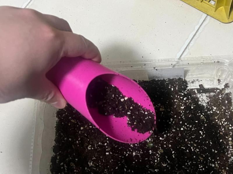 Scoop for cups/small pots/substrate scoop