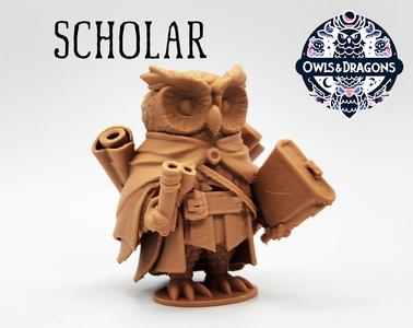 The Scholar - Owls & Dragons