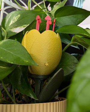 TULIP self-watering insert