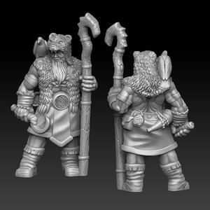 barbarian druid