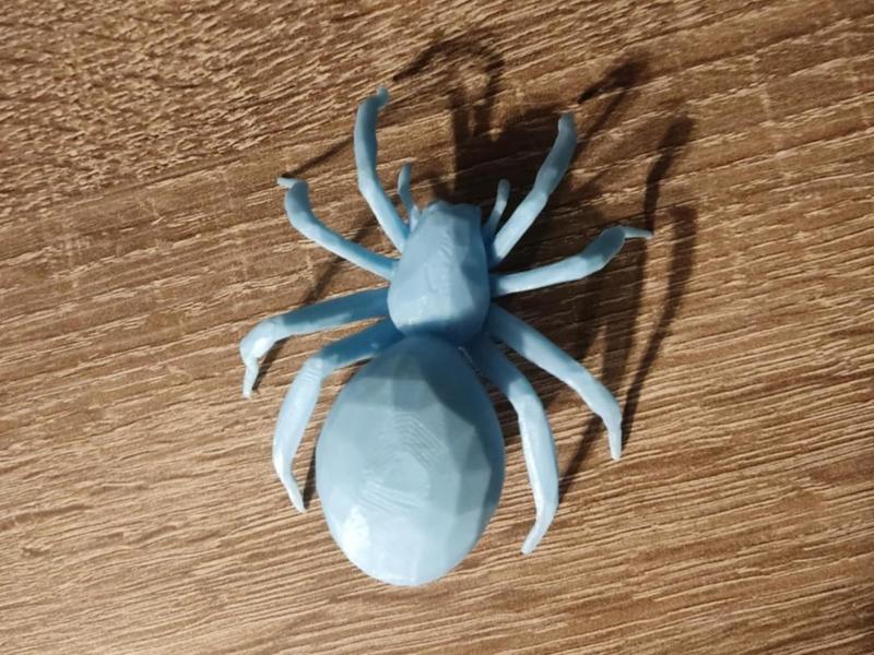 Little spider / Jumpy spider