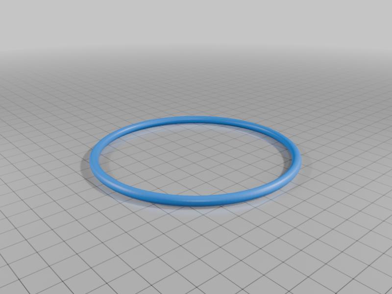 Emaux Pool Chlorinator O-ring
