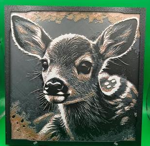 Baby Fawn Deer