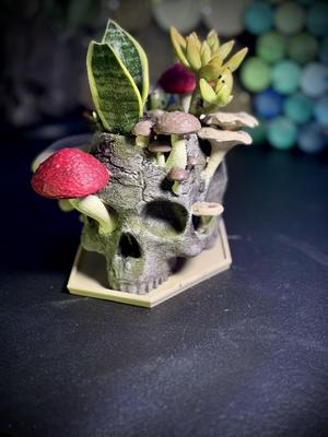 The Reclaimed Skull Planter
