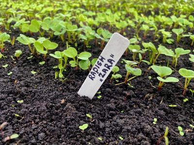 Gardening markers