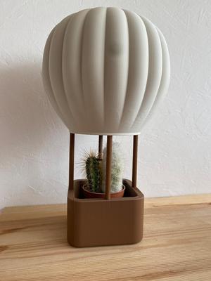 hot air balloon
