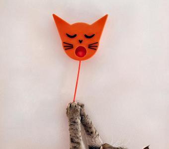 The Sleepy Catdulum - NO AMS REQUIRED