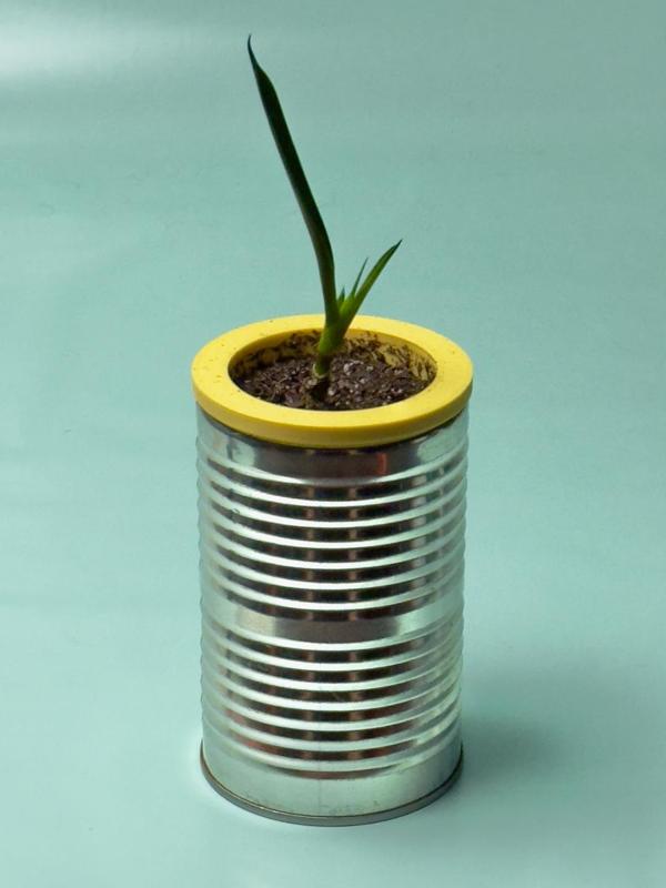 Self Watering Planter Can Insert