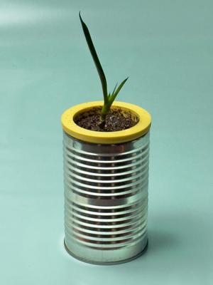 Self Watering Planter Can Insert